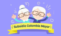 Colombia Mayor: Consulta por cédula